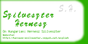 szilveszter hernesz business card